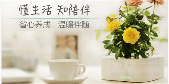 JUST GROW智能花盆：瞄准文艺癌，面朝办公桌春暖花开